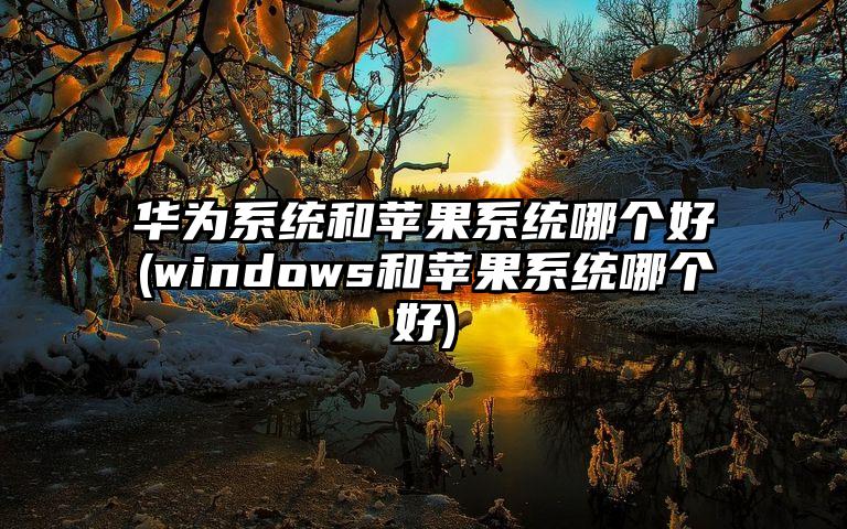 华为系统和苹果系统哪个好(windows和苹果系统哪个好)