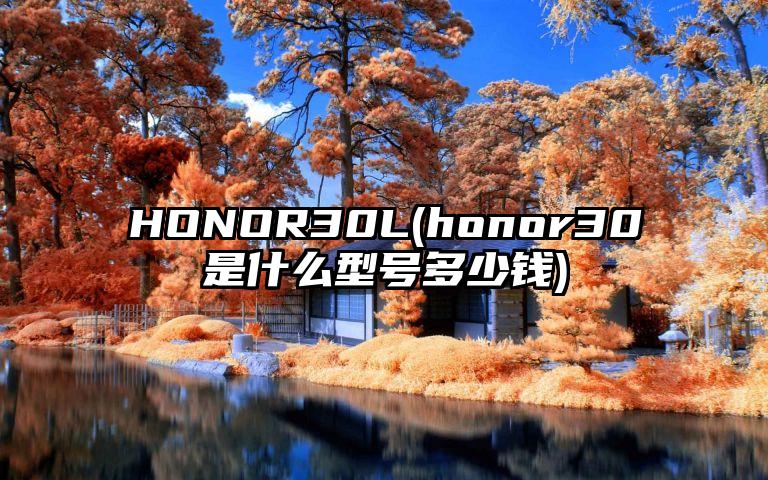 HONOR30L(honor30是什么型号多少钱)