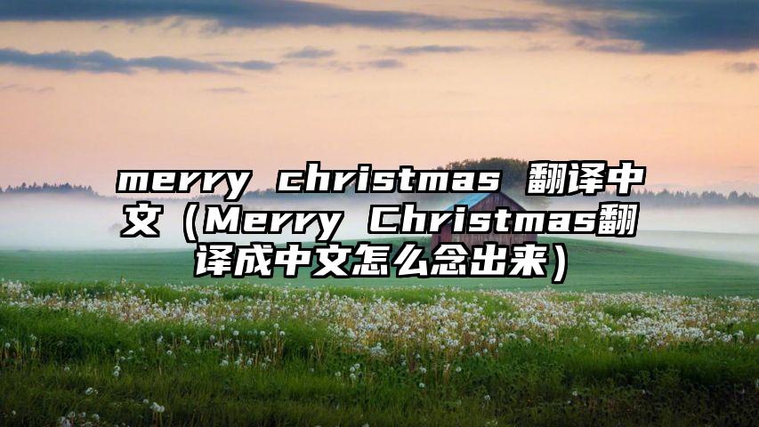 merry christmas 翻译中文（Merry Christmas翻译成中文怎么念出来）