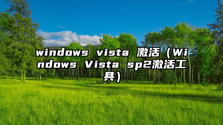 windows vista 激活（Windows Vista sp2激活工具）