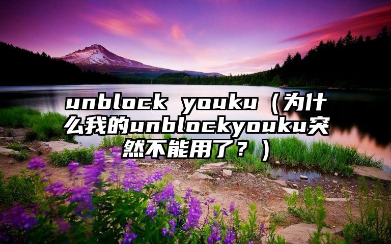 unblock youku（为什么我的unblockyouku突然不能用了？）