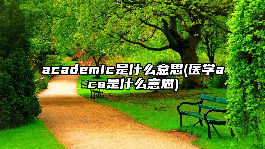 academic是什么意思(医学aca是什么意思)
