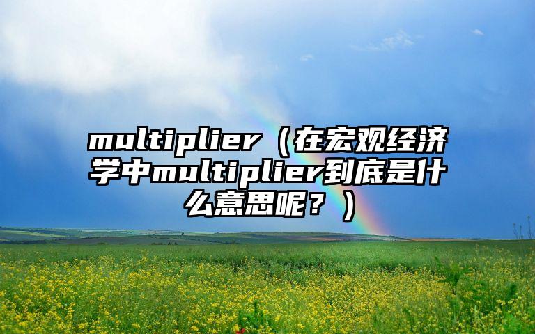 multiplier（在宏观经济学中multiplier到底是什么意思呢？）