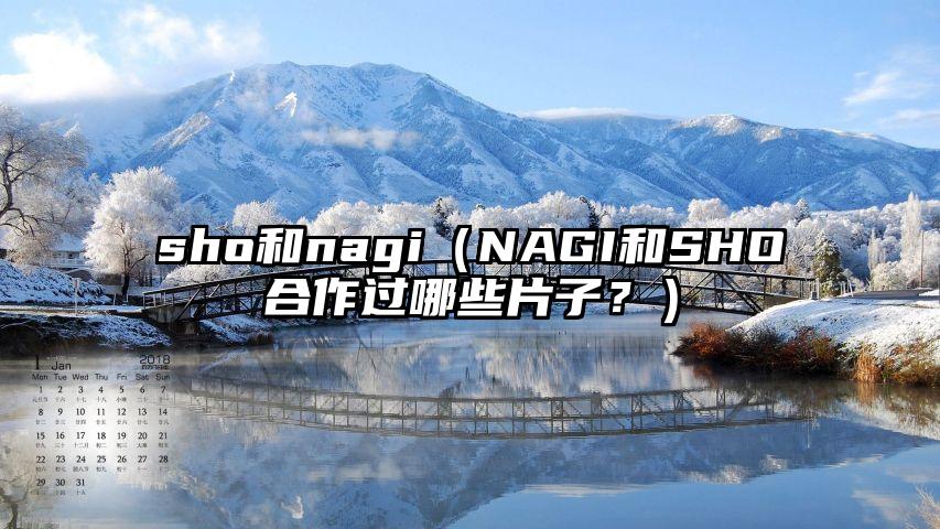 sho和nagi（NAGI和SHO合作过哪些片子？）