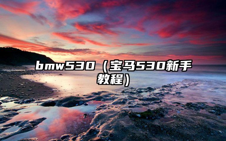 bmw530（宝马530新手教程）