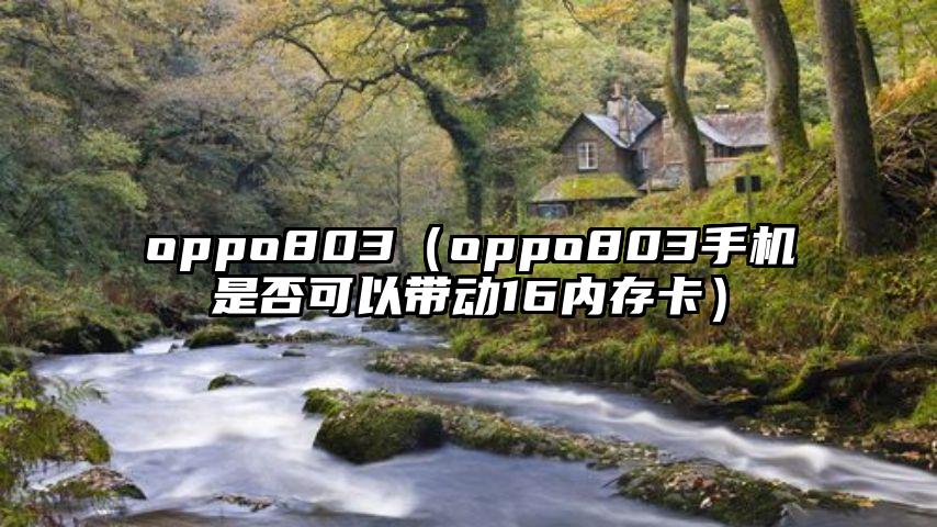 oppo803（oppo803手机是否可以带动16内存卡）