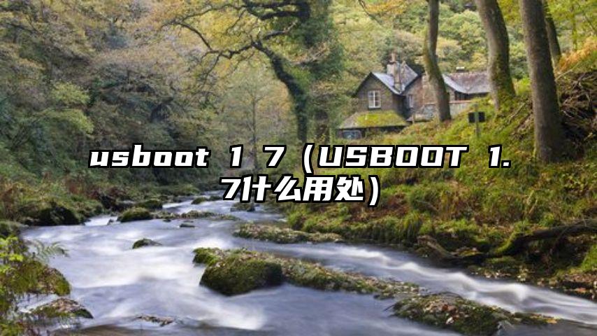 usboot 1 7（USBOOT 1.7什么用处）