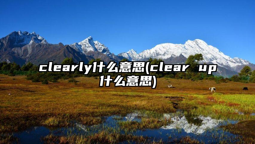 clearly什么意思(clear up什么意思)