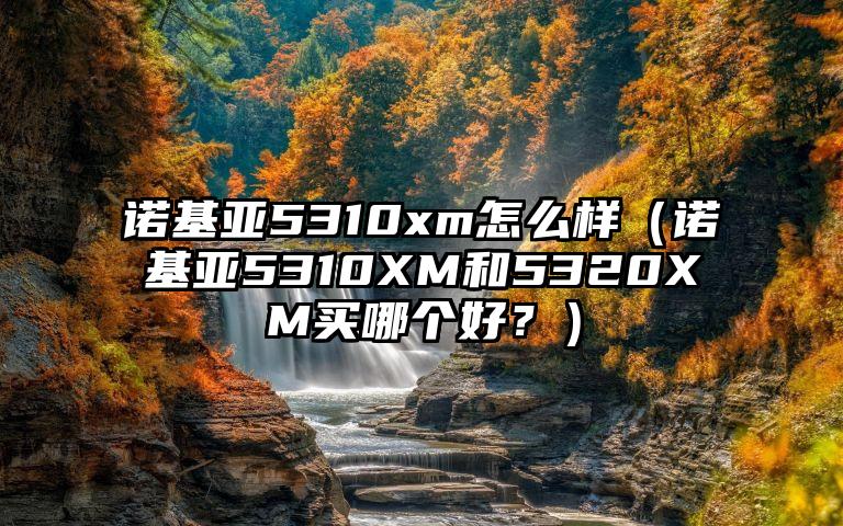诺基亚5310xm怎么样（诺基亚5310XM和5320XM买哪个好？）