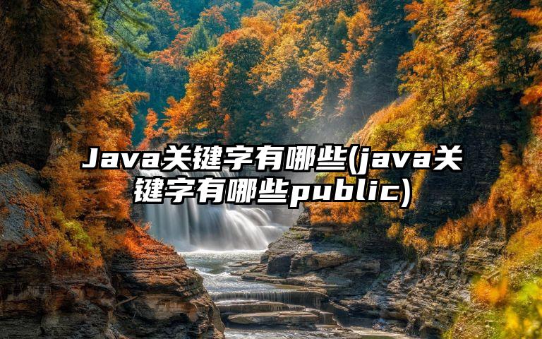 Java关键字有哪些(java关键字有哪些public)