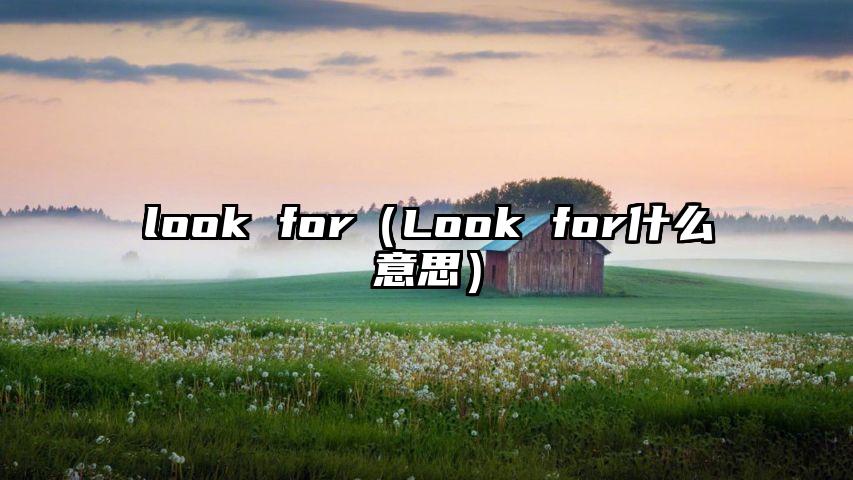 look for（Look for什么意思）