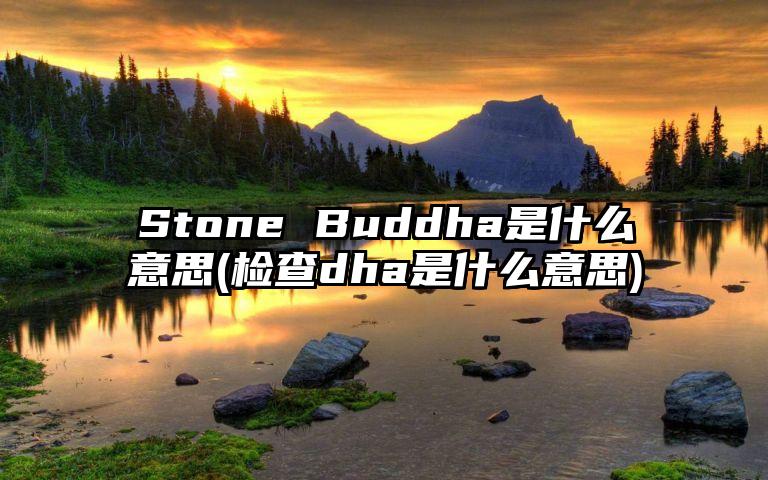 Stone Buddha是什么意思(检查dha是什么意思)