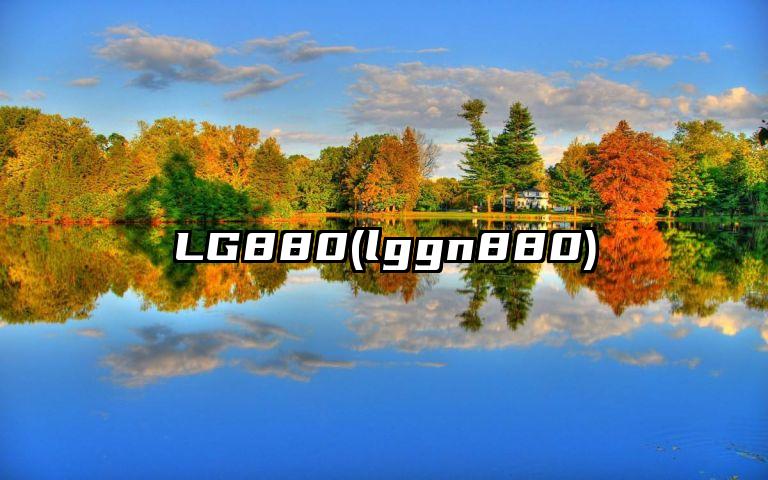 LG880(lggn880)