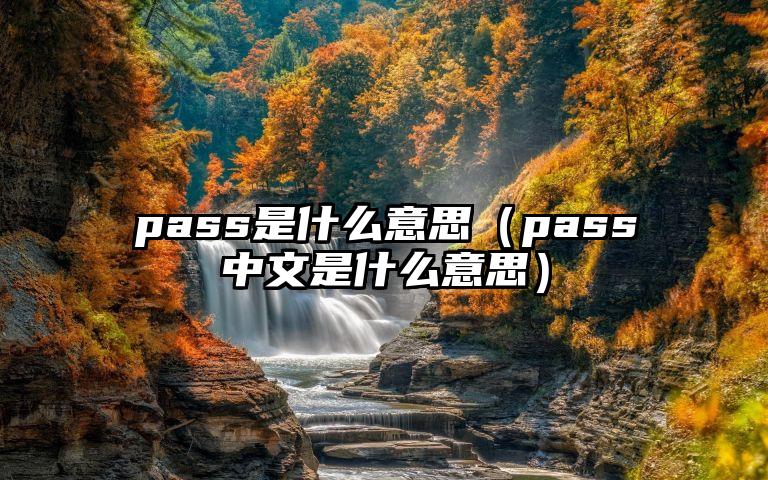 pass是什么意思（pass中文是什么意思）