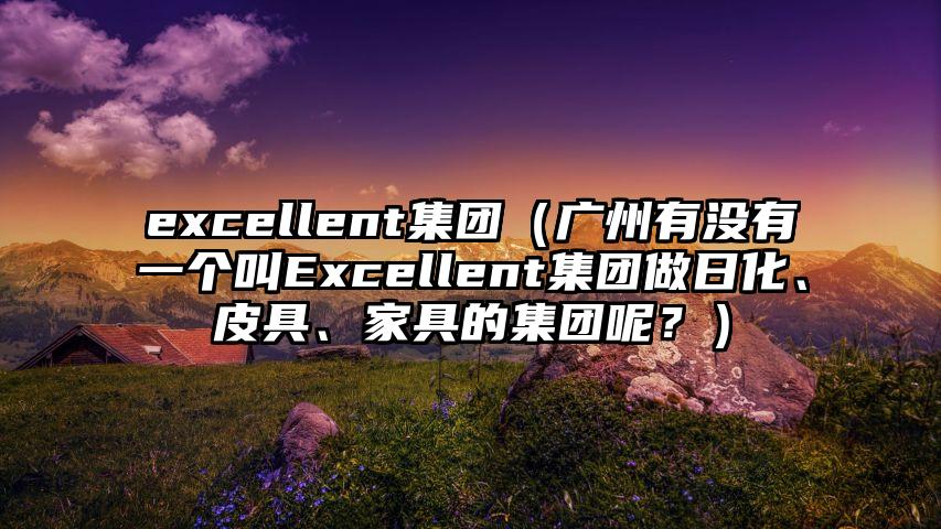 excellent集团（广州有没有一个叫Excellent集团做日化、皮具、家具的集团呢？）