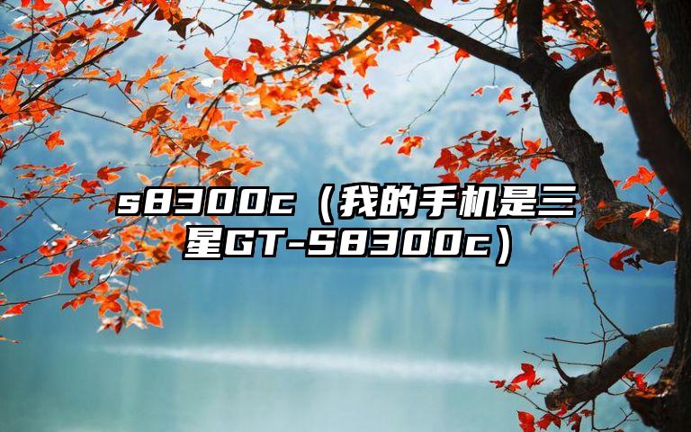 s8300c（我的手机是三星GT-S8300c）