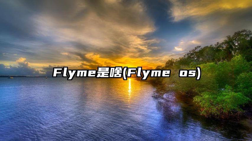 Flyme是啥(Flyme os)