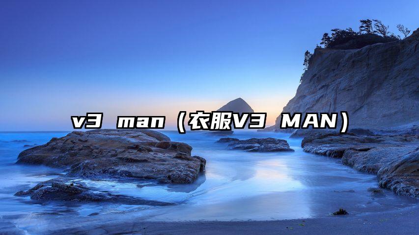 v3 man（衣服V3 MAN）