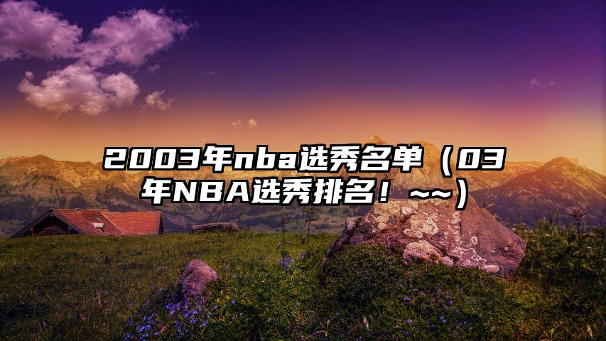 2003年nba选秀名单（03年NBA选秀排名！~~）