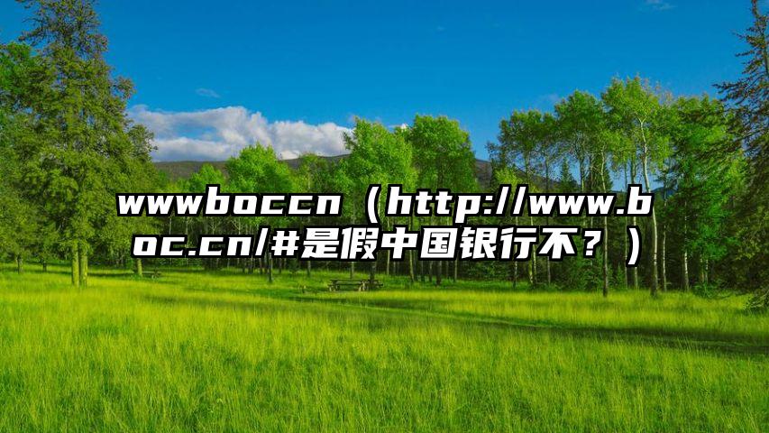 wwwboccn（http://www.boc.cn/#是假中国银行不？）