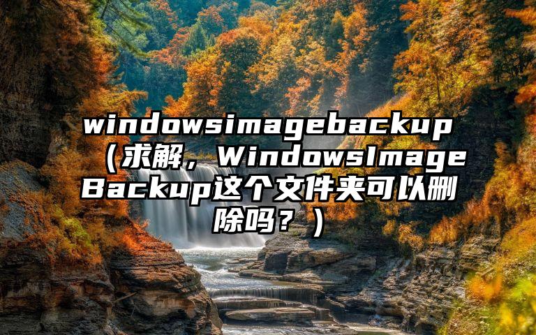 windowsimagebackup（求解，WindowsImageBackup这个文件夹可以删除吗？）