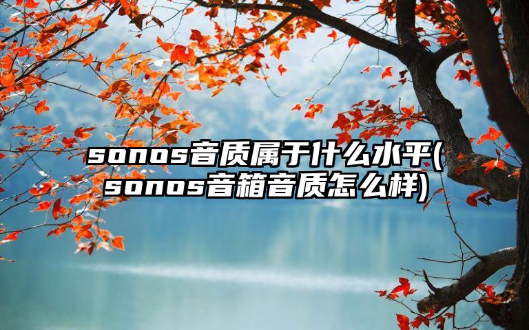 sonos音质属于什么水平(sonos音箱音质怎么样)