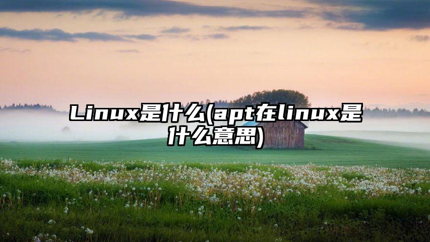 Linux是什么(apt在linux是什么意思)
