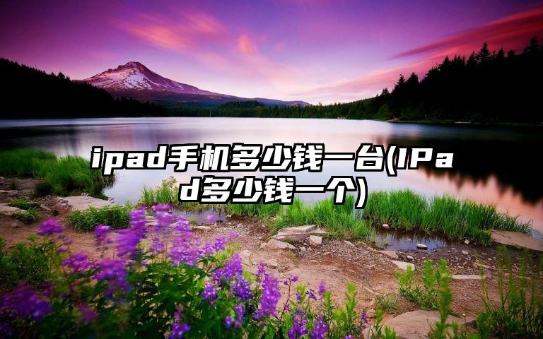 ipad手机多少钱一台(IPad多少钱一个)