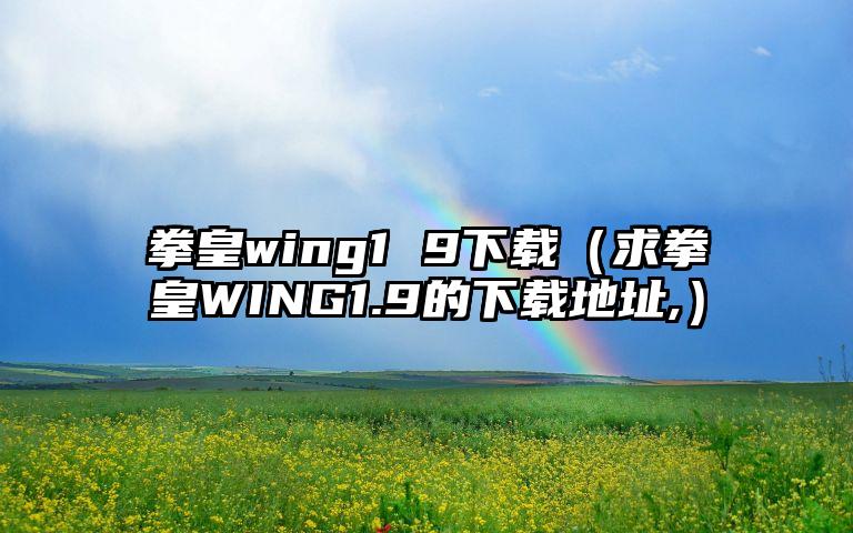 拳皇wing1 9下载（求拳皇WING1.9的下载地址,）