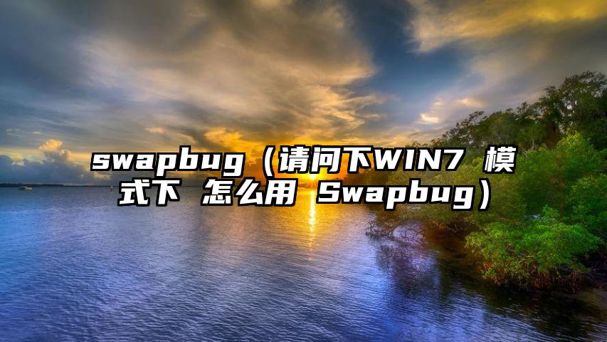 swapbug（请问下WIN7 模式下 怎么用 Swapbug）