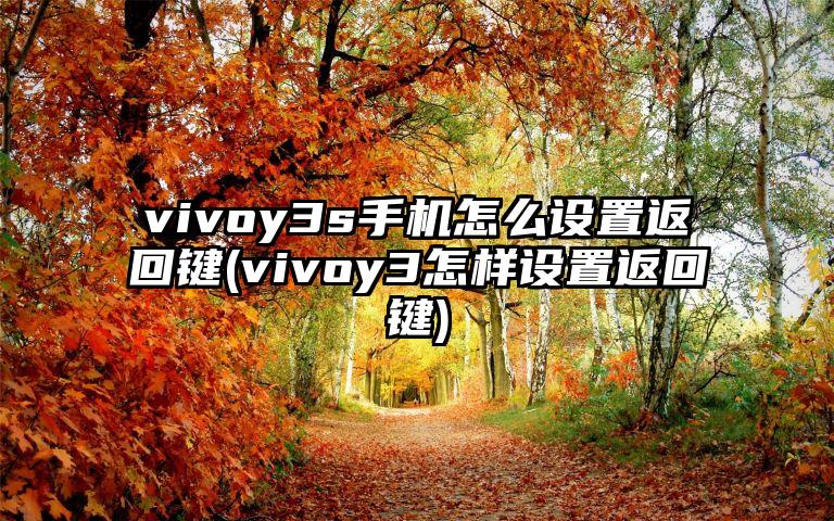 vivoy3s手机怎么设置返回键(vivoy3怎样设置返回键)