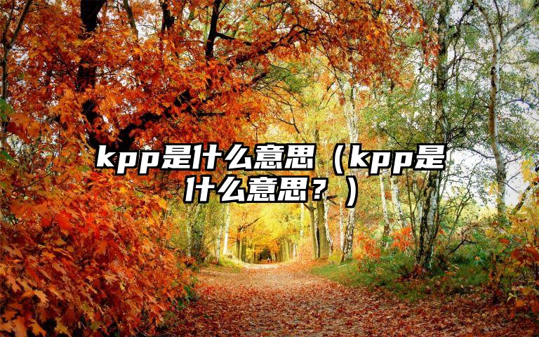 kpp是什么意思（kpp是什么意思？）