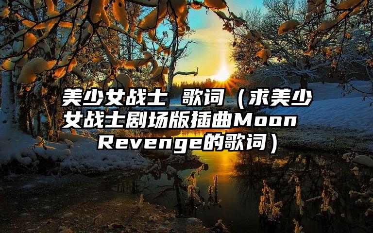 美少女战士 歌词（求美少女战士剧场版插曲Moon Revenge的歌词）