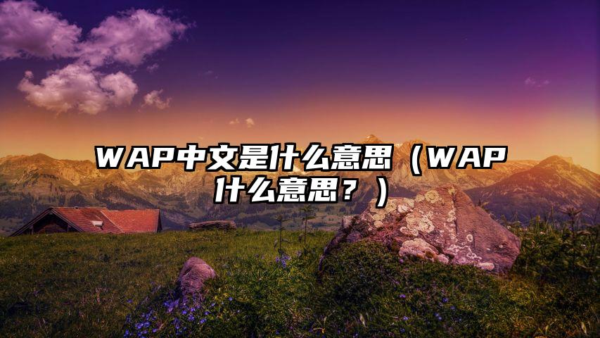 WAP中文是什么意思（WAP什么意思？）