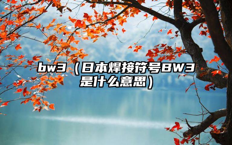bw3（日本焊接符号BW3是什么意思）