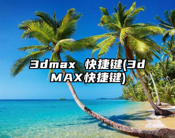 3dmax 快捷键(3dMAX快捷键)