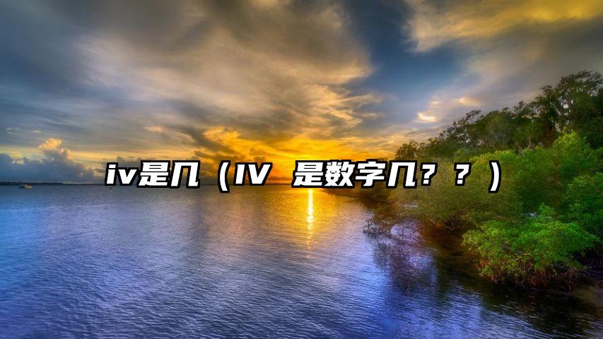 iv是几（IV 是数字几？？）