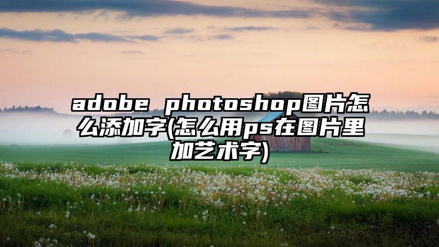 adobe photoshop图片怎么添加字(怎么用ps在图片里加艺术字)