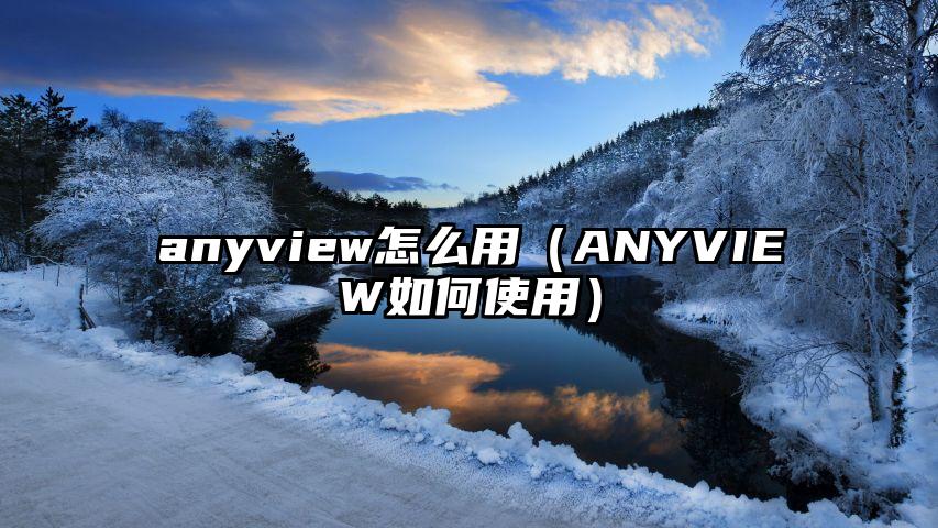 anyview怎么用（ANYVIEW如何使用）