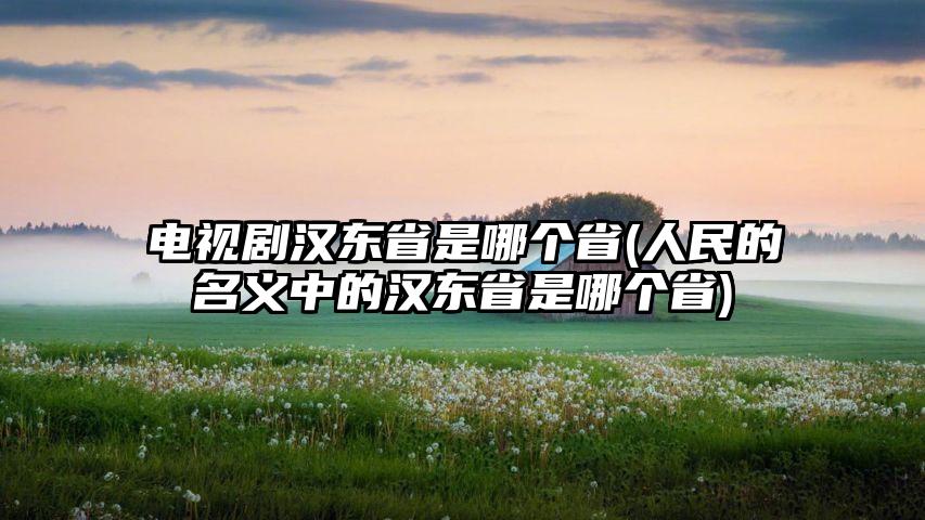 电视剧汉东省是哪个省(人民的名义中的汉东省是哪个省)