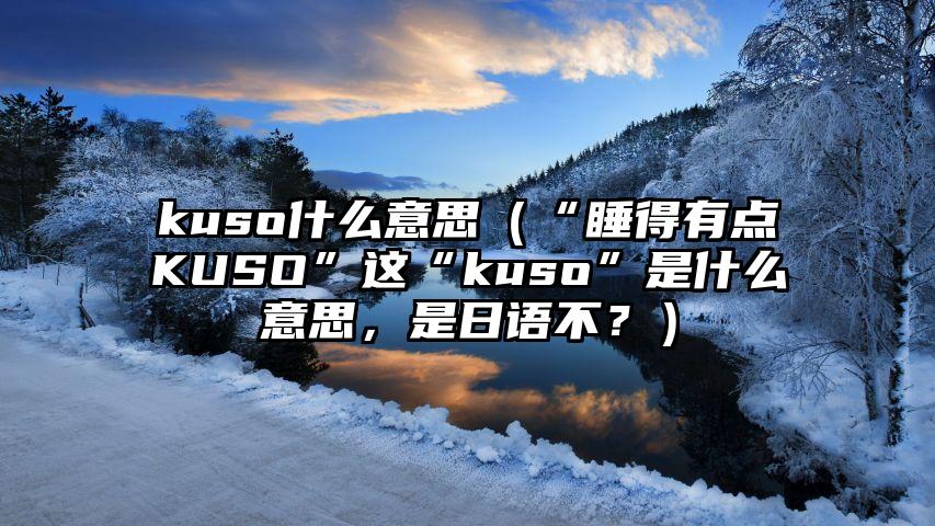 kuso什么意思（“睡得有点KUSO”这“kuso”是什么意思，是日语不？）