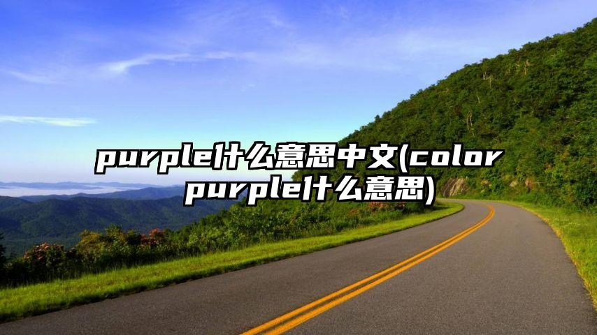 purple什么意思中文(color purple什么意思)