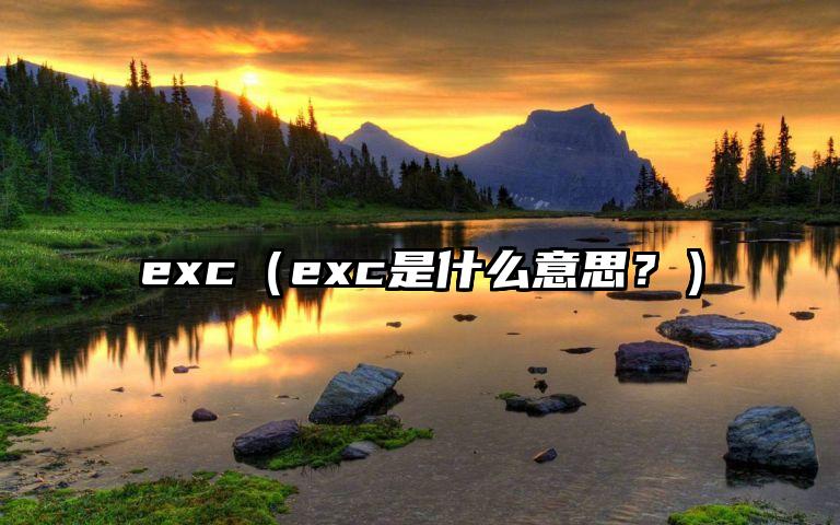 exc（exc是什么意思？）