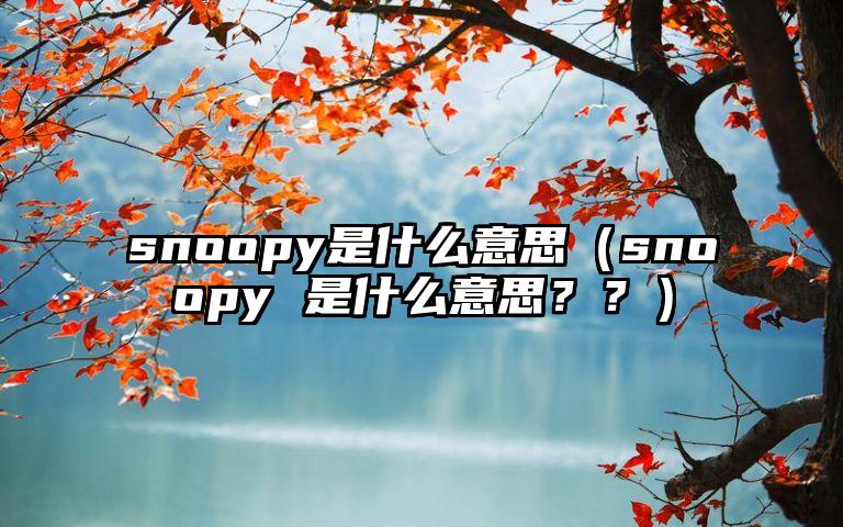 snoopy是什么意思（snoopy 是什么意思？？）