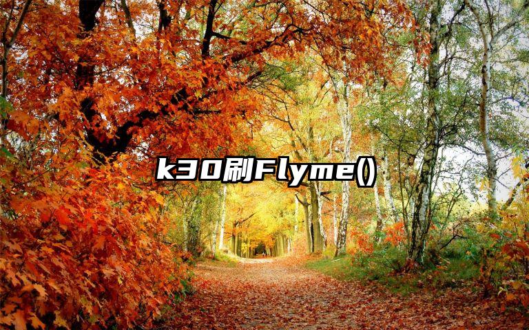 k30刷Flyme()