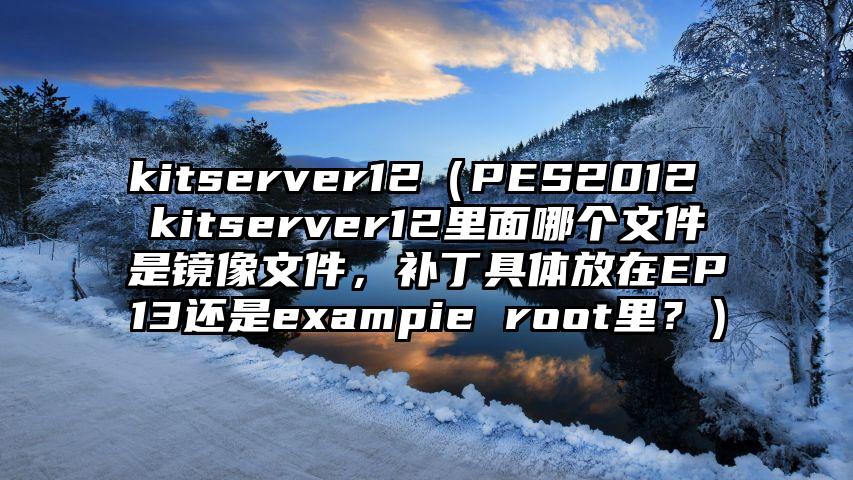 kitserver12（PES2012 kitserver12里面哪个文件是镜像文件，补丁具体放在EP13还是exampie root里？）