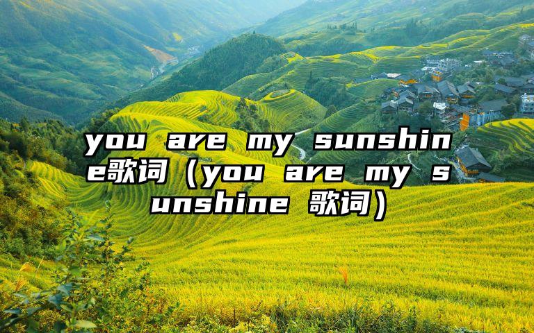 you are my sunshine歌词（you are my sunshine 歌词）