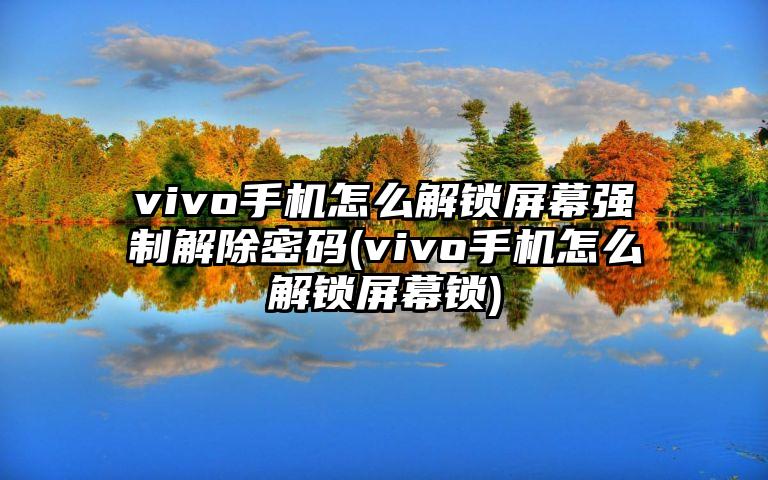 vivo手机怎么解锁屏幕强制解除密码(vivo手机怎么解锁屏幕锁)