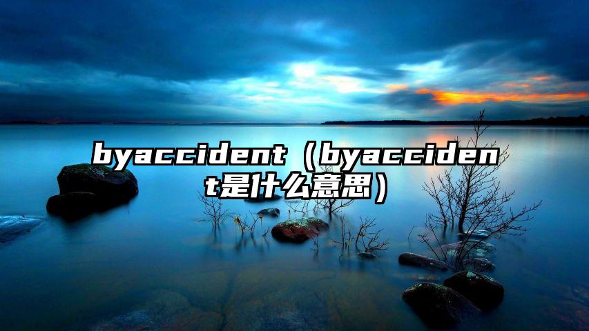 byaccident（byaccident是什么意思）