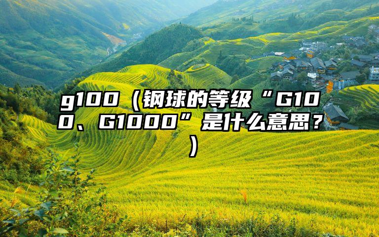 g100（钢球的等级“G100、G1000”是什么意思？）